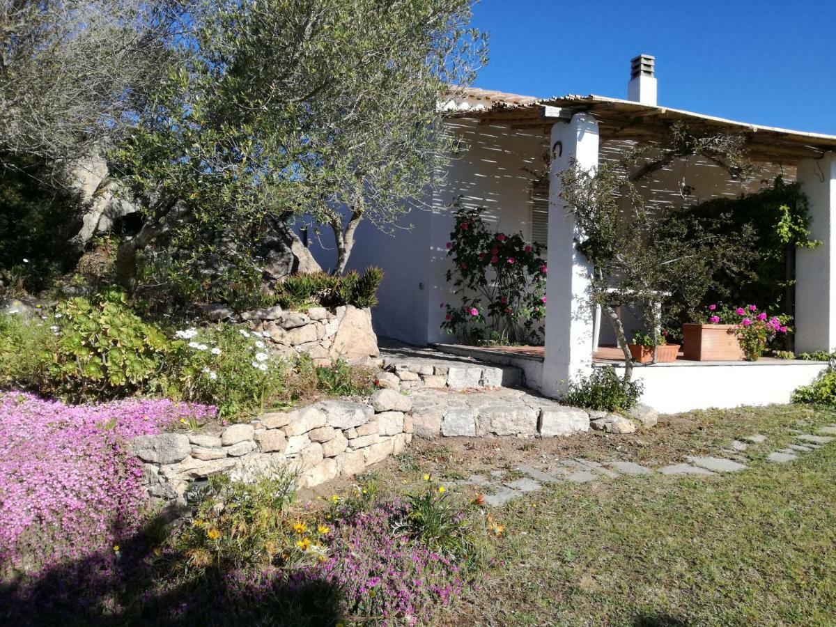 Agriturismo La Valletta Santa Teresa Gallura Exterior foto