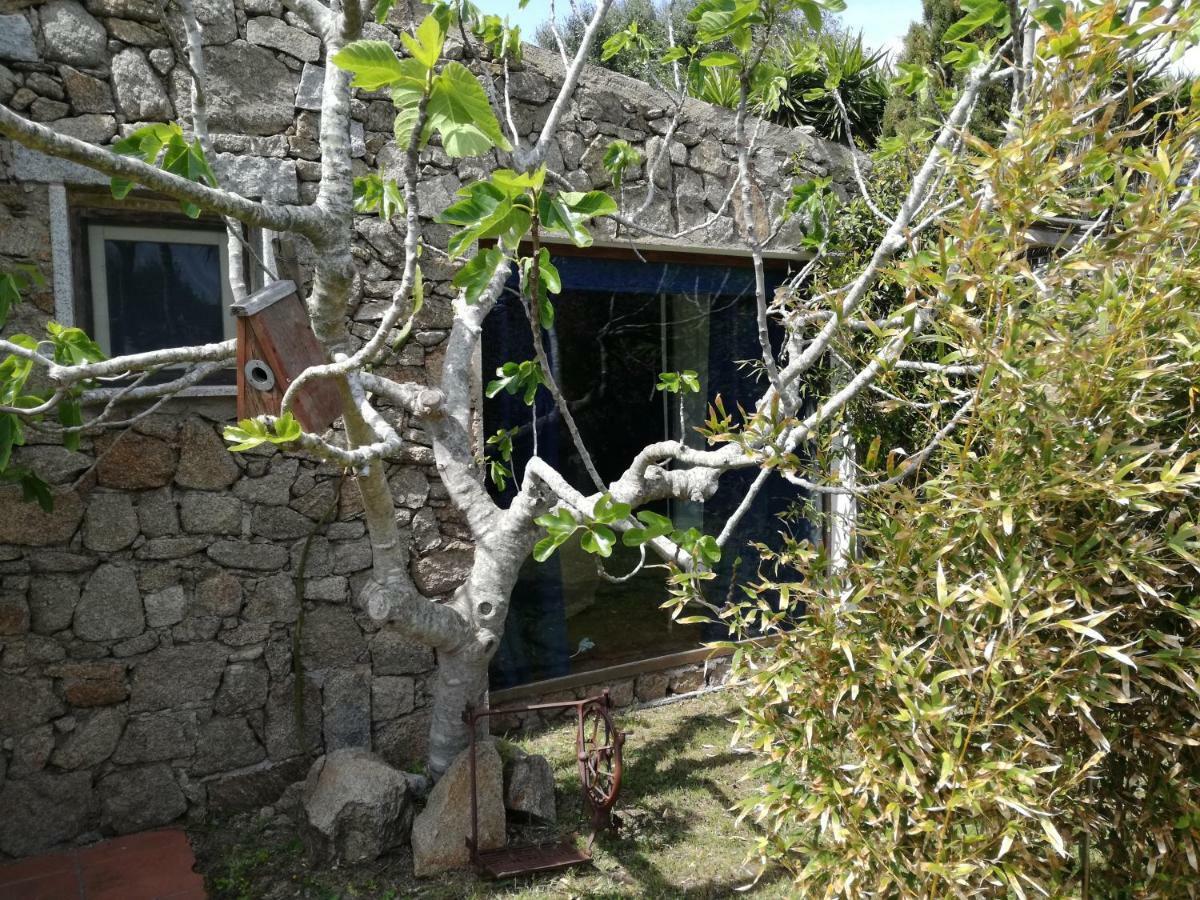 Agriturismo La Valletta Santa Teresa Gallura Exterior foto